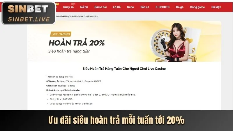 Hoàn trả tiền cược cho VIP